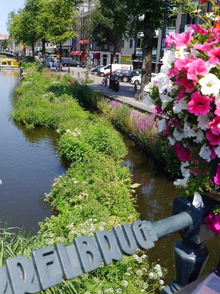 Sie hübschen das Stadtbild auf und verbessern gleichzeitig die Wasserqualität in den Grachten – im Rahmen der Aktion „Saubere Grachten“ entstanden.