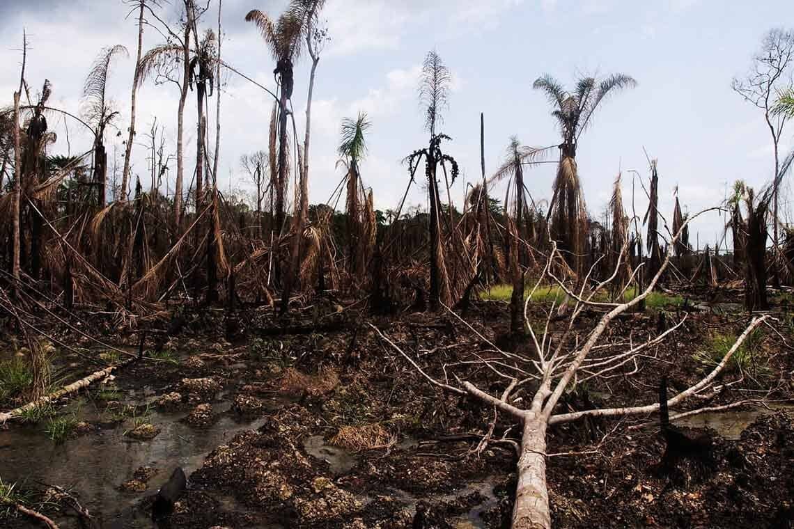 Shell muss Umweltverseuchung im Nigerdelta entschädigen
