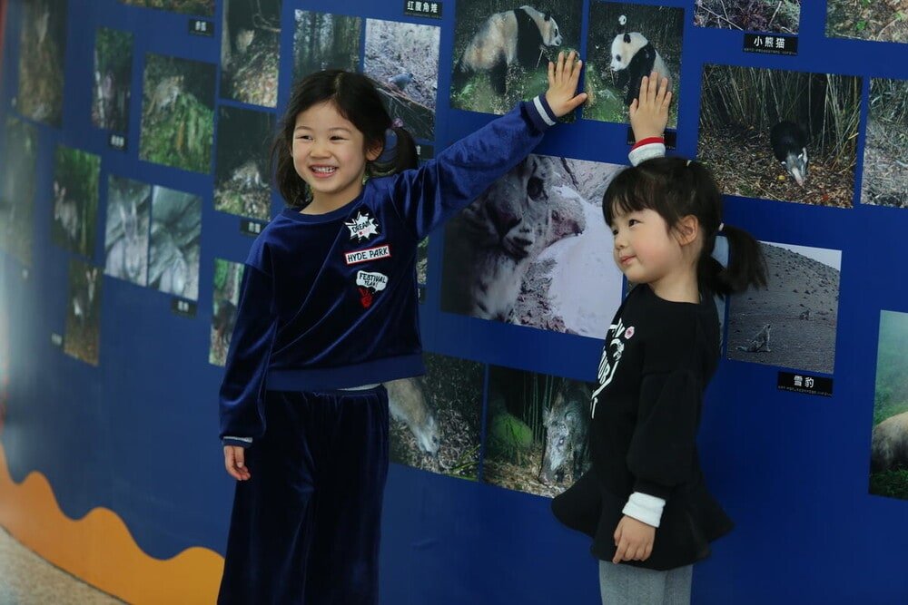 WWF China Small WW2126078