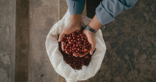 Coffee for Life