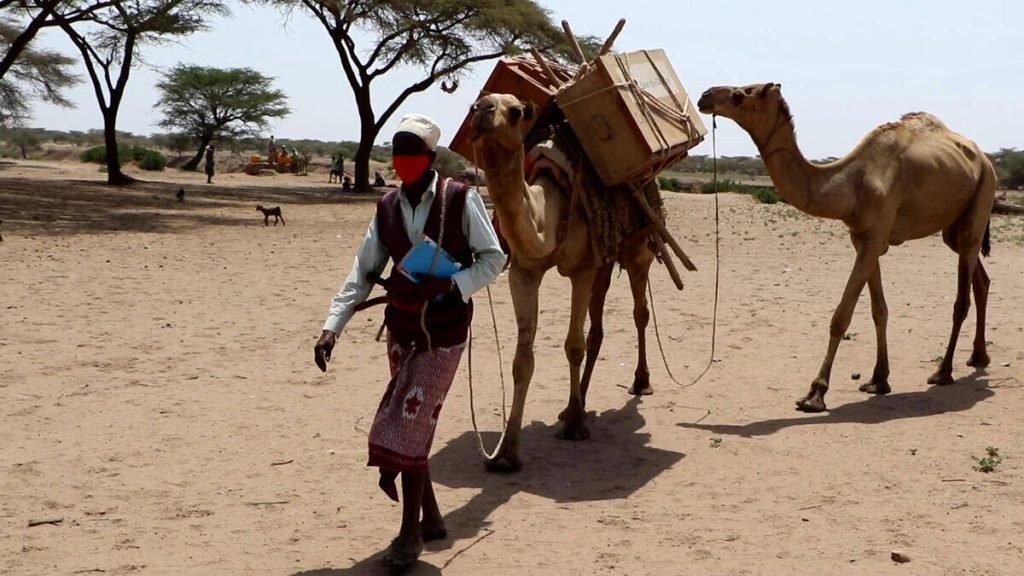 The Camel Library Project