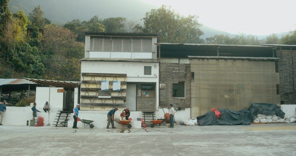 Coffee for Life Movie Cooperative ADENISA San Pedro 03