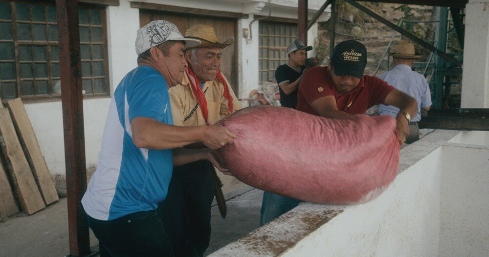 Coffee for Life Movie Cooperative ADENISA San Pedro 07