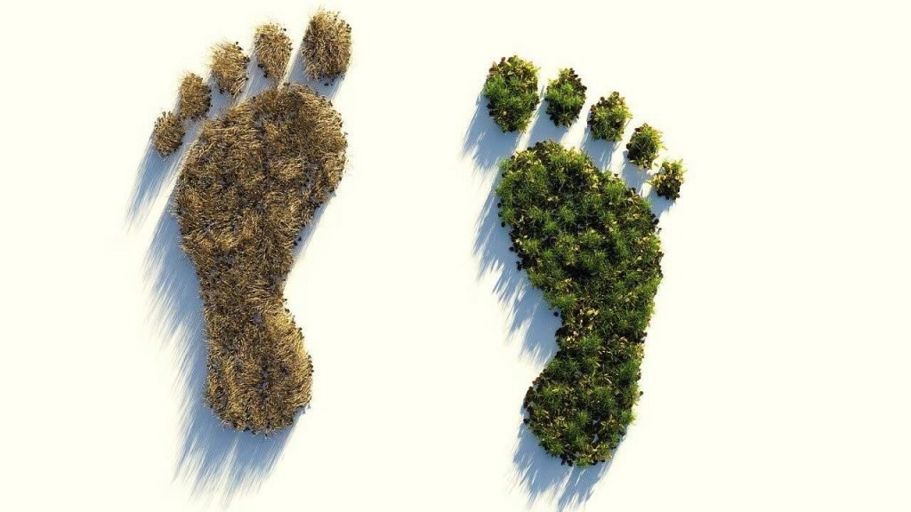 Zwei Fußabdrücke dein einmal einen vertrockneten Wald und einem einen gesunden, grünen Wald zeigen und damit den Carbon Footprint symbolisieren.