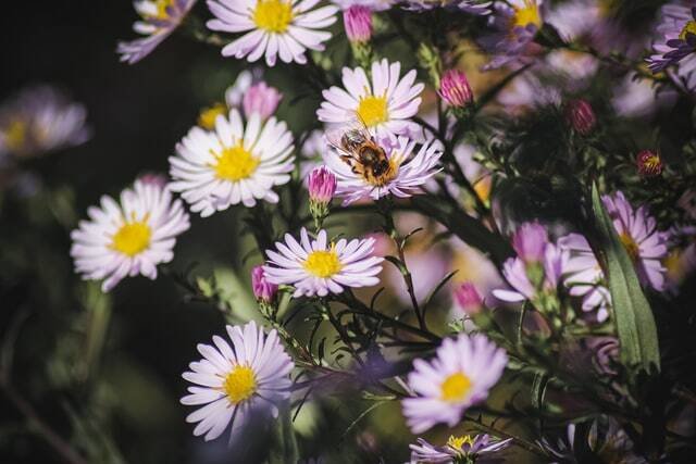victoria B75XCiBsh I unsplash