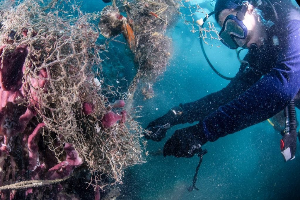 Net Free Seas4 min