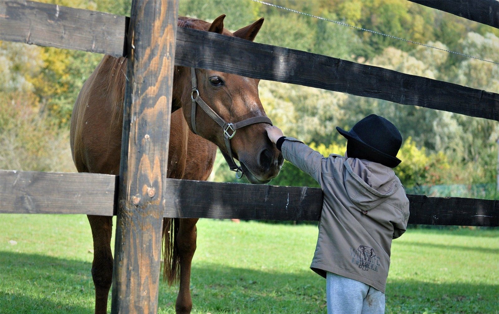 Bauernhofkindergärten, Kind streichelt Pferd
