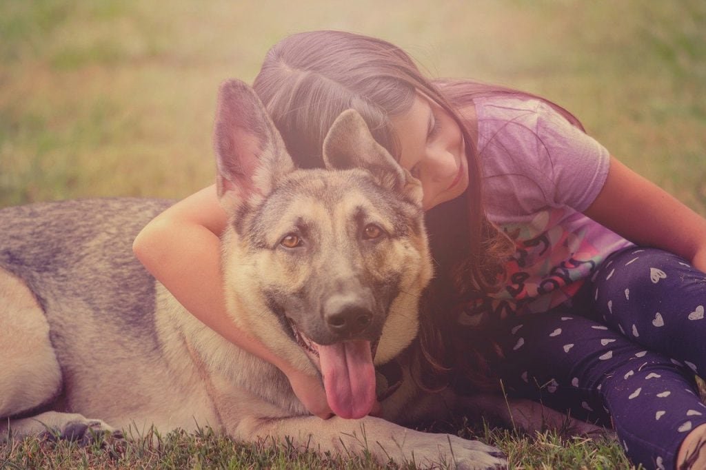 Kind mit Hund, Tierheimhund