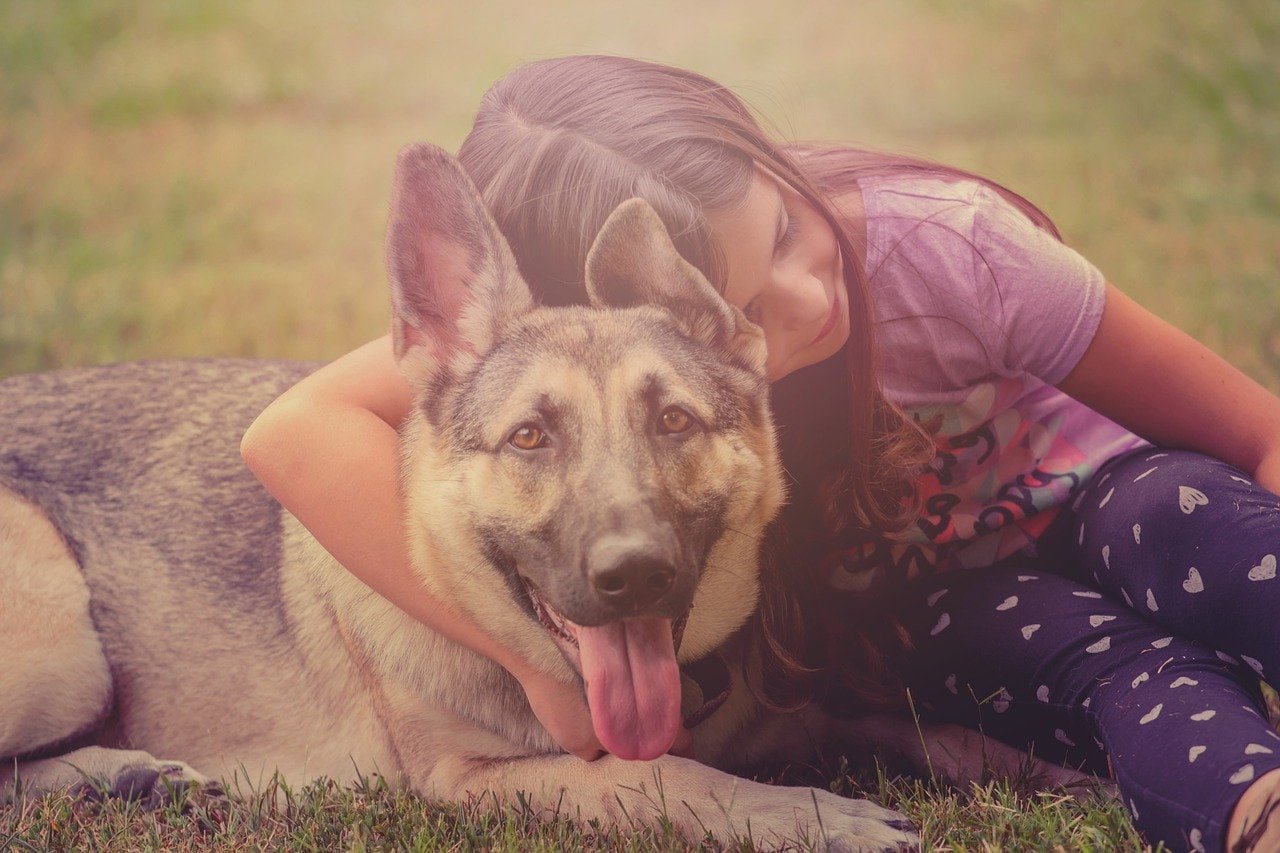 Kind mit Hund, Tierheimhund