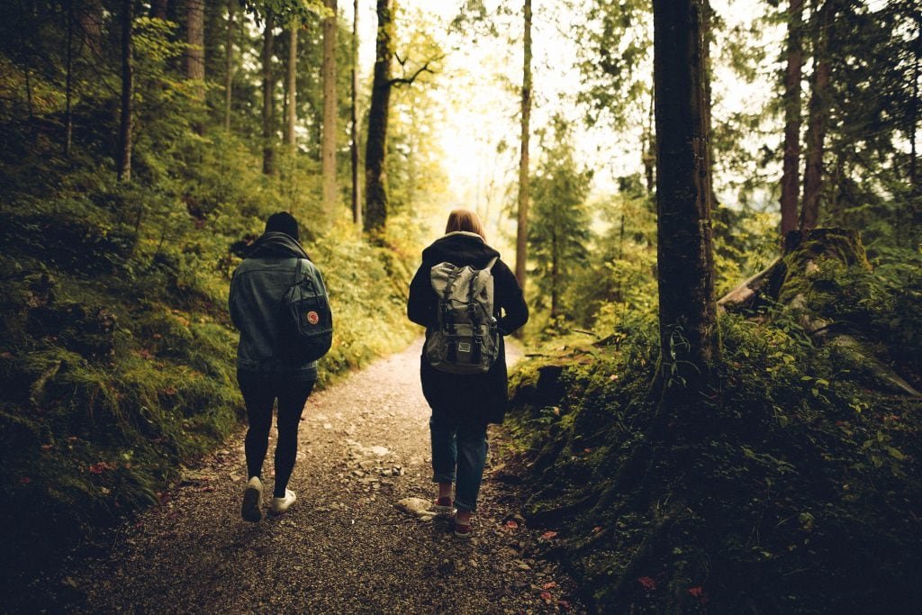 Ablenkung von den Geschehnissen in der Ukraine. Ein Waldspaziergang kann helfen.

