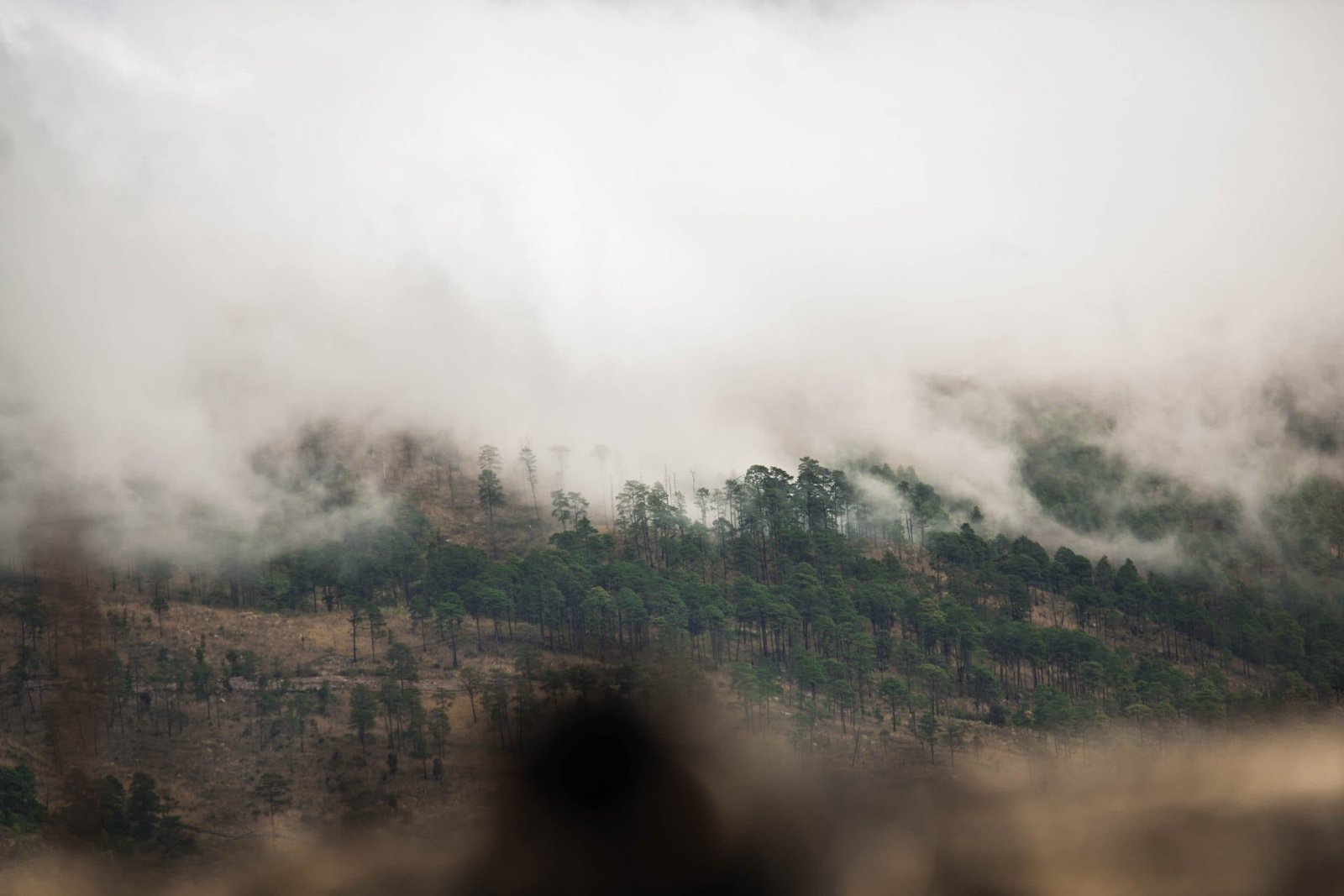Tegucigalpa, Honduras
