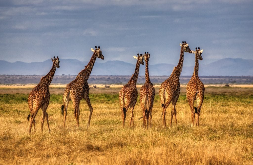 mariola grobelska xdSDchtfZHI unsplash