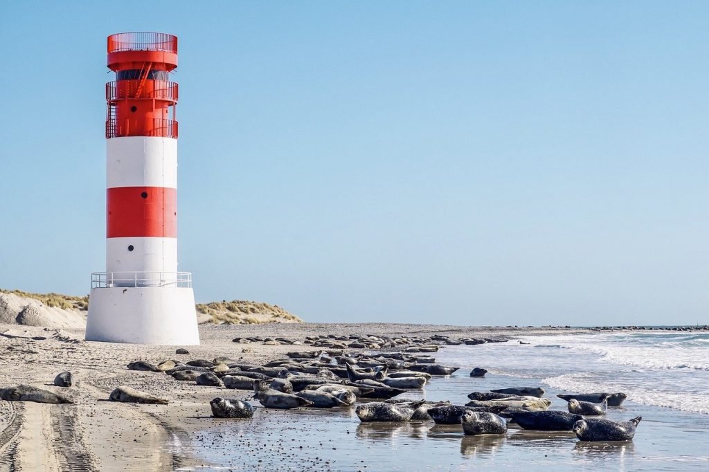 Good News Flash - Umwelt Nordsee