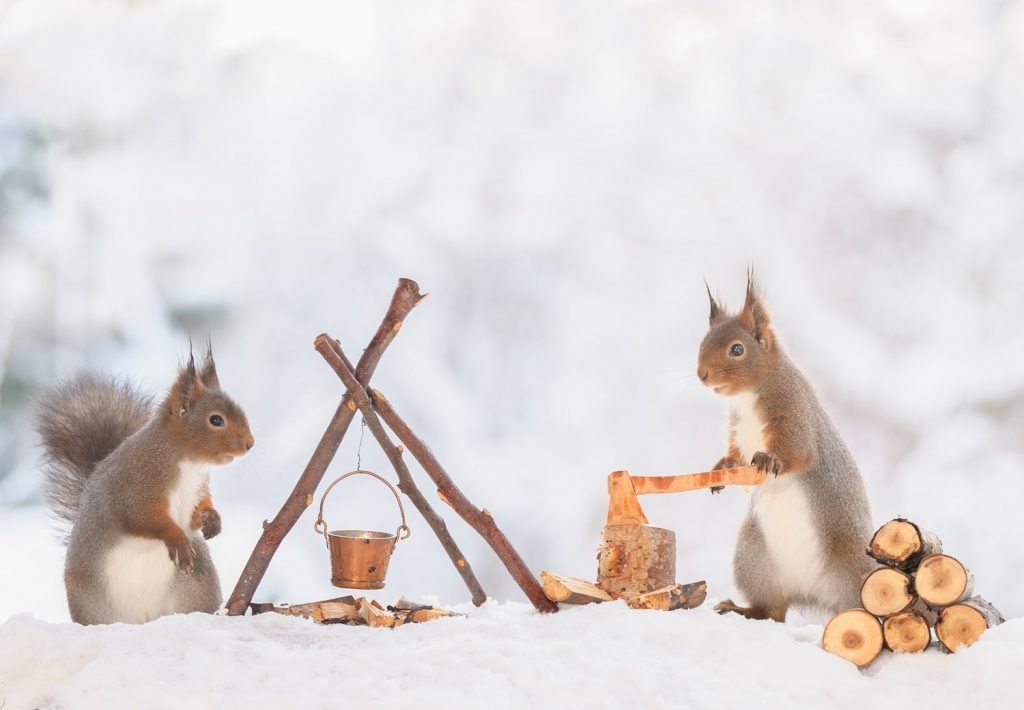 winter camp