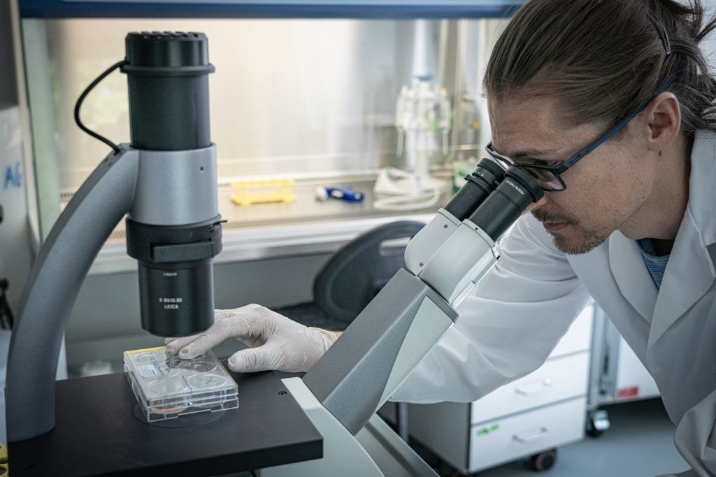 Stem cell scientist Norman Krüger at the MDC lab photo by Jan Zwilling
