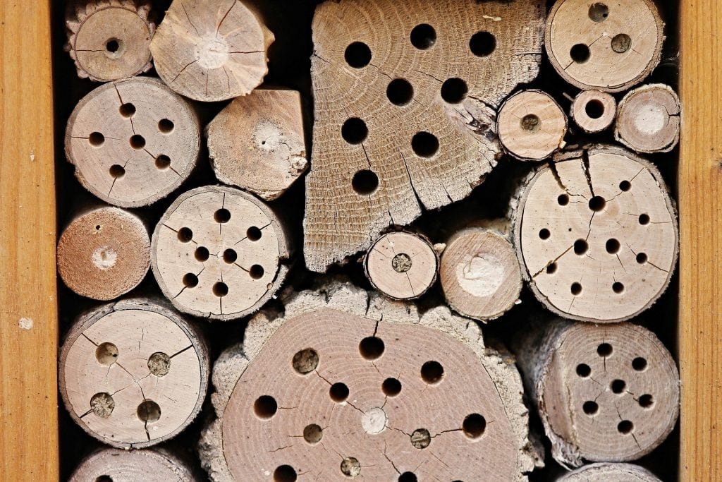 insect hotel 2643713 1920