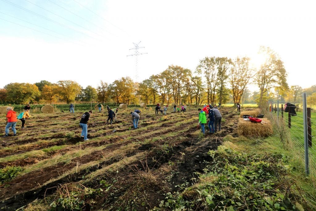 Pflanzaktion-Wedel-pflanzen-der-Setzlinge-citizens forests