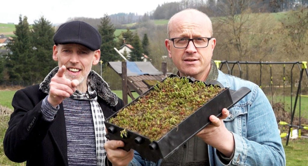 Die mygreentop-Gründer mit ihrem Dachbegrünungs-Modul