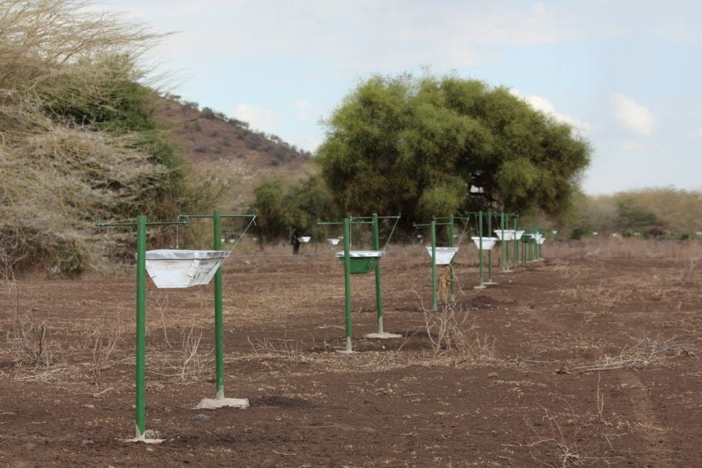Ein Bienenzaun in Afrika. Insekten helfen der Landwirtschaft.