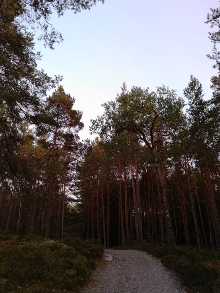 IMG 20220829 200753