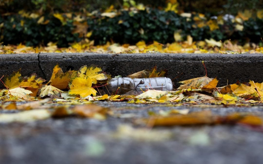 Neues Verfahren für Plastik-Upcycling entwickelt