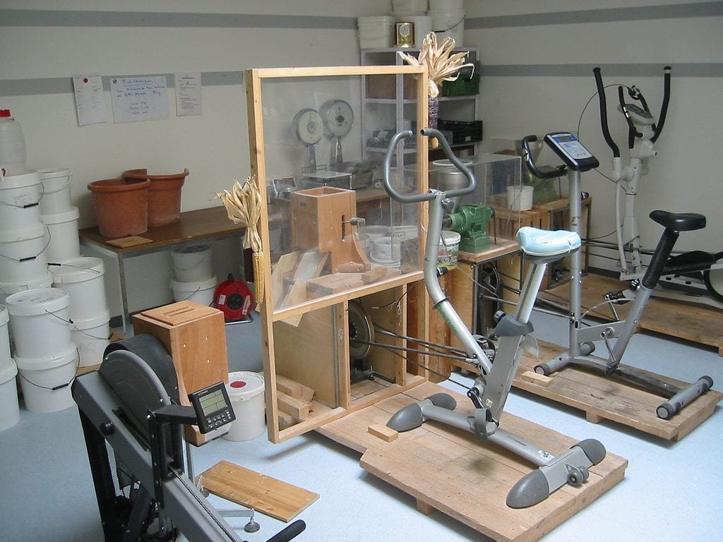 Wieland Gmueesesel2
