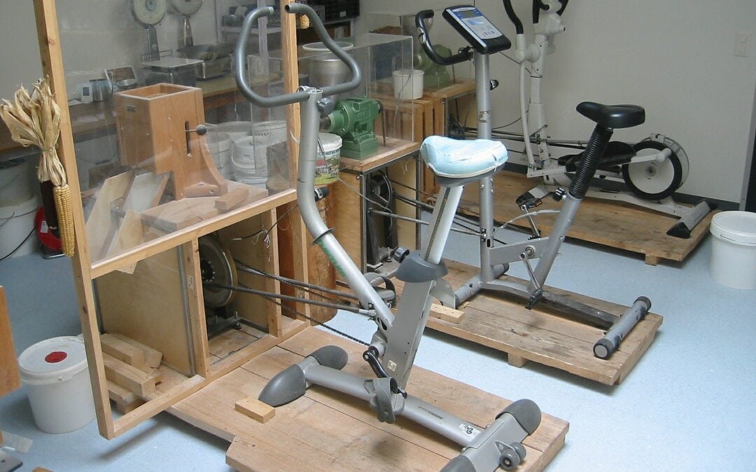 In diesem Fitnessstudio entstehen Polenta, Öl und Co.