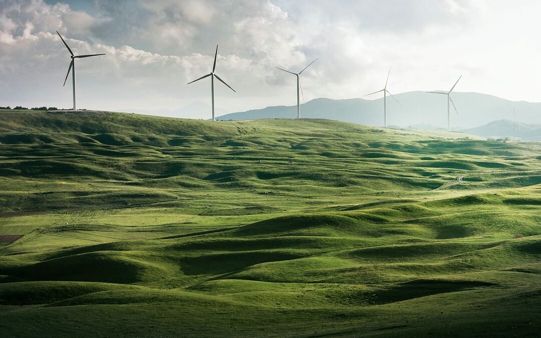 Erneuerbare Energien zeigen in 87 Ländern starkes Wachstum