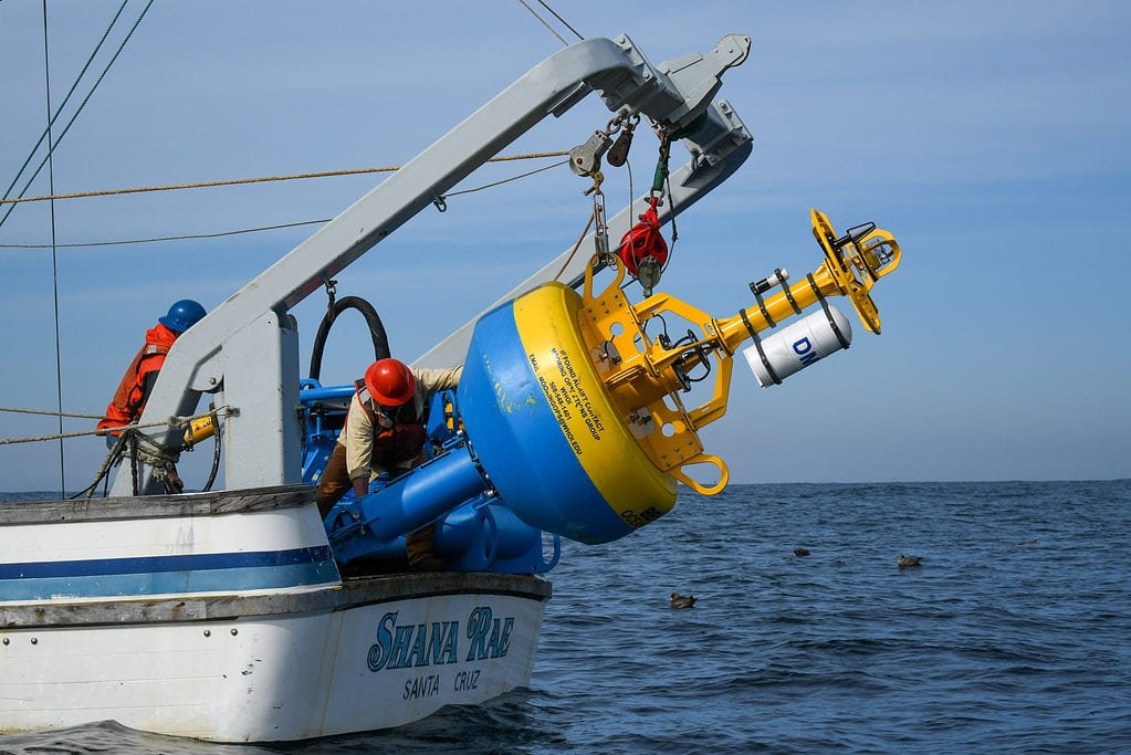 Eine der Bojen des Whale Safe Systems wird zu Wasser gelassen