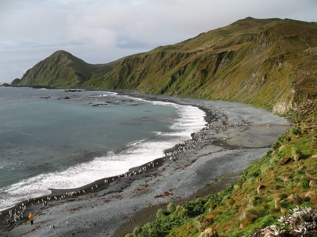 Good News Flash: Macquarie Island Commonwealth Marine Reserve