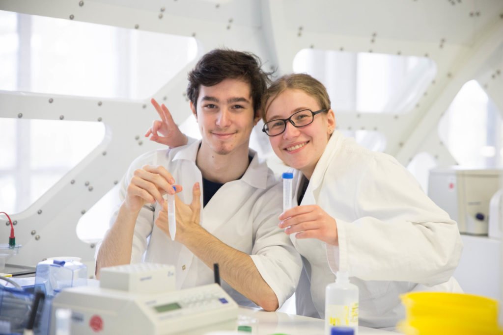 Bild 3 DNA Labor 1