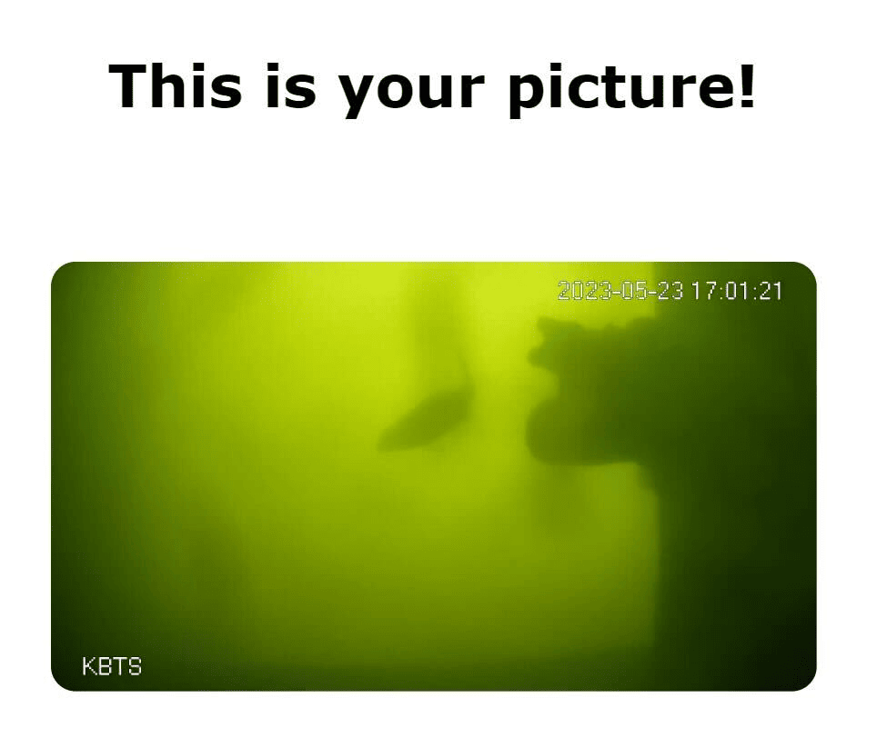 Bild von einem Fisch nach dem drücken der Fisch-Türklingel  