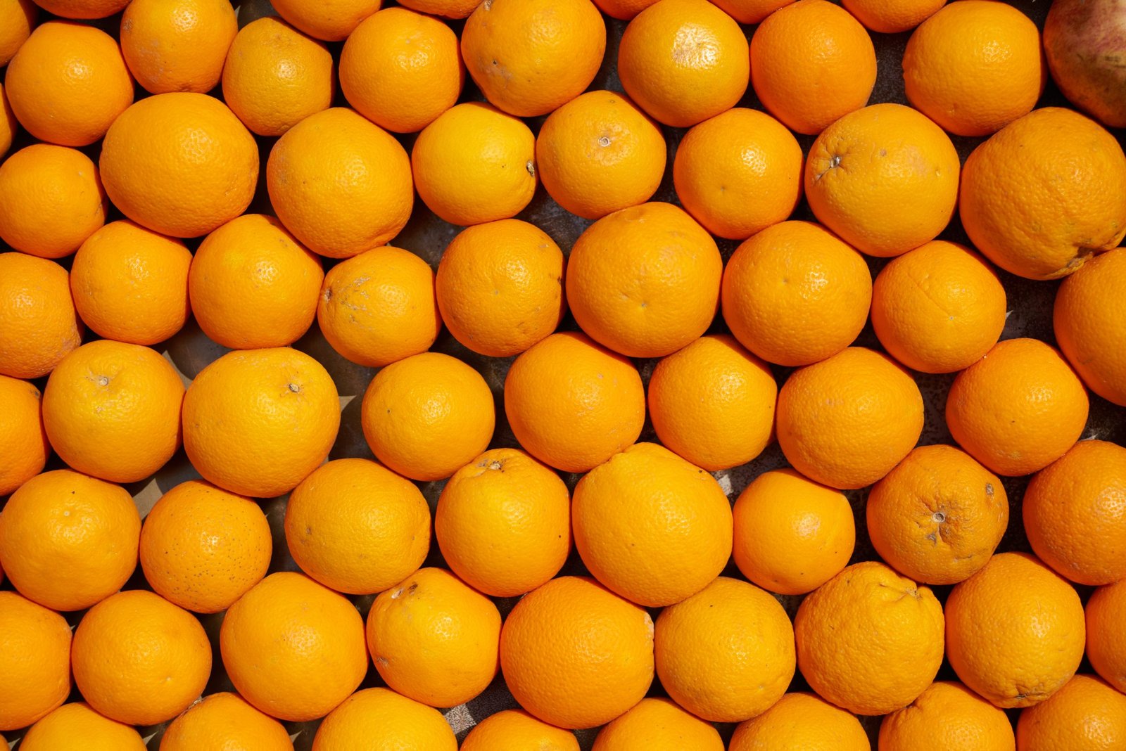 PeelPioneers schenkt Orangenschalen ein zweites Leben
