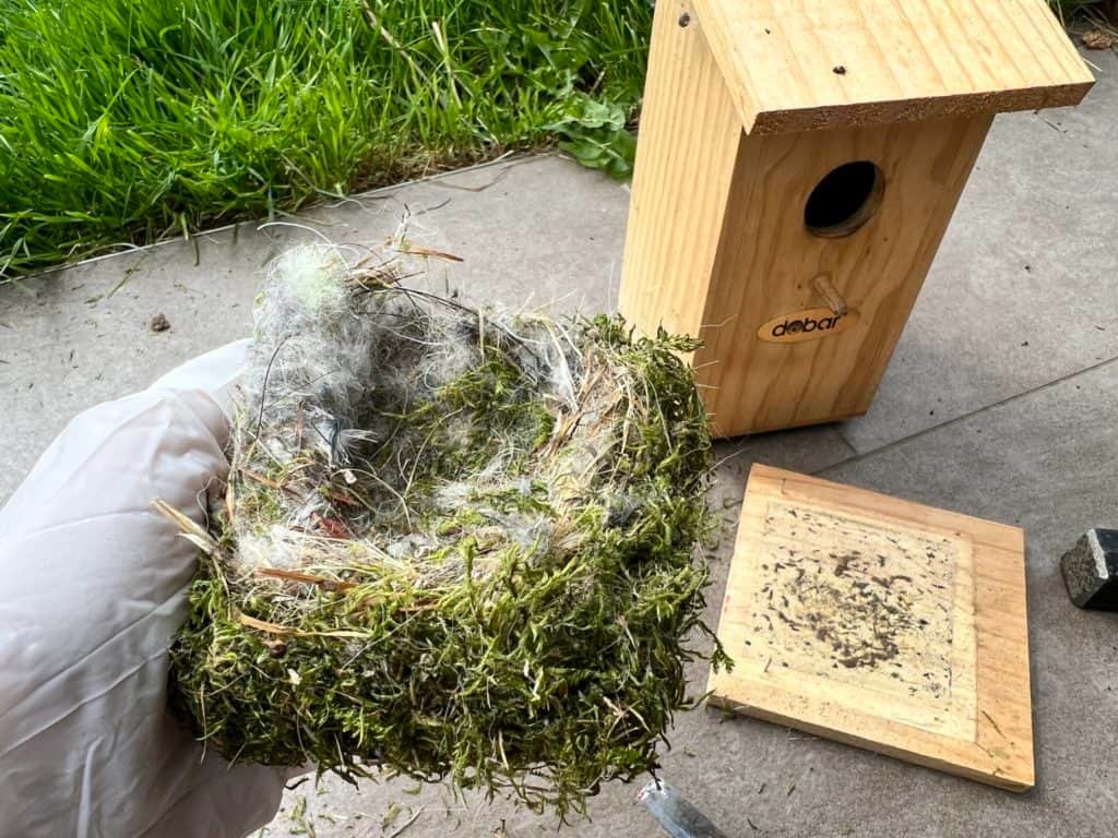 Das (kurzzeitig) auseinandergebaute Meisenhaus – und sein Innenleben.