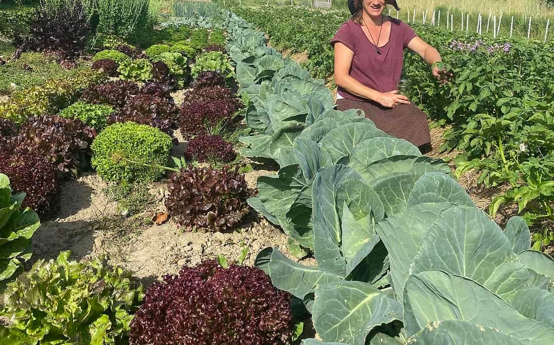 WWOOF ermöglicht das Leben und Lernen auf ökologischen Bauernhöfen