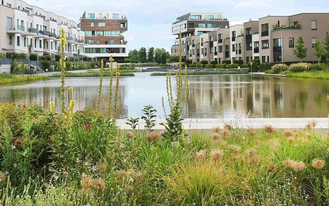 Berlin auf dem Weg zur Schwammstadt