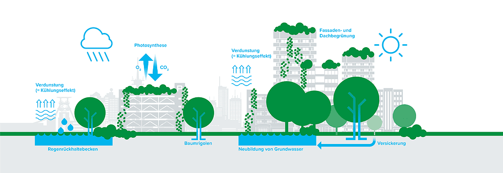 Infografik mit den Vorteilen und dem Wasserverlauf der Schwammstadt