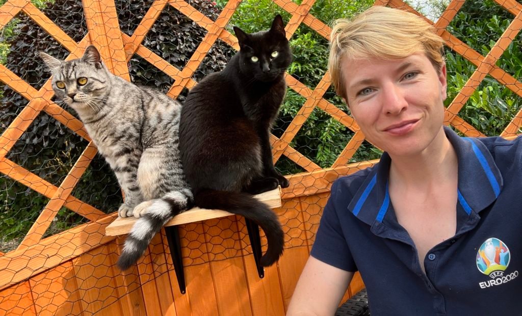 katzen catio