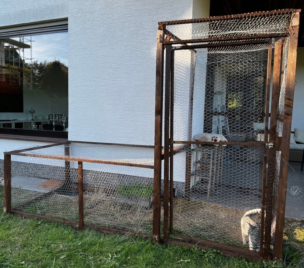 katzen catio2