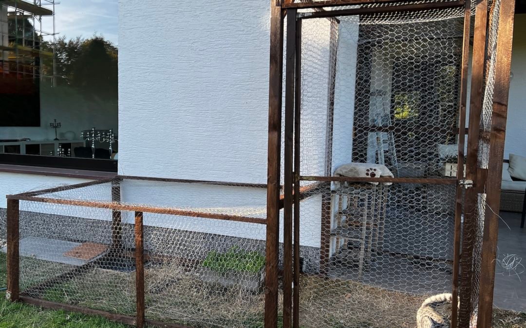 Wie ich mit einem “Catio” Vögel und Mäuse schütze