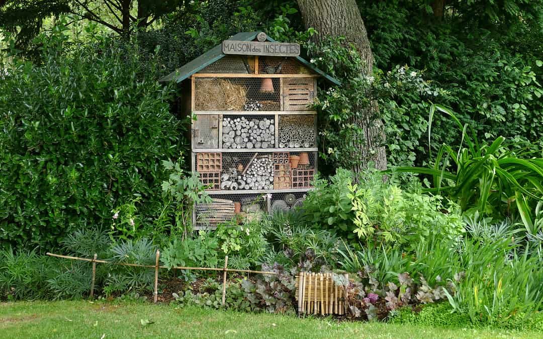 Insektenhotel als Nistplatz für Wildbienen