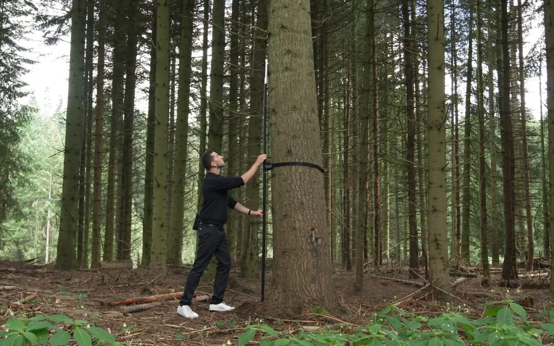 Überwachungssonde für Wälder gewinnt James Dyson Award 2023 in Deutschland