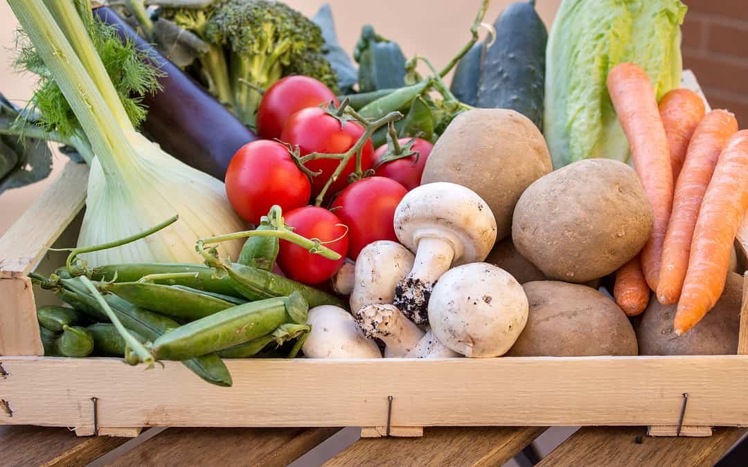 Neue Wege auf dem Weg in eine nachhaltige Gesellschaft