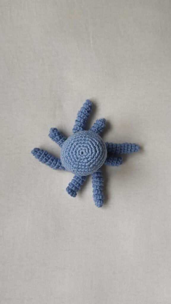 Oktopus von oben