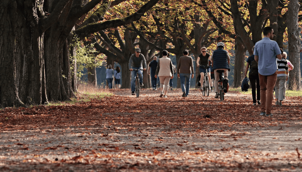 Konsumfreier Raum "Stadtpark"