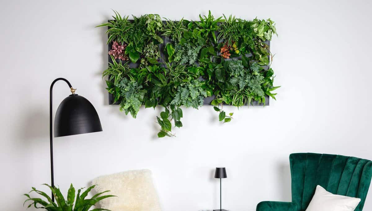 Modulare Innenwandbegrünung von Urban Greenery