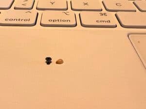 Schraube eines iPads
