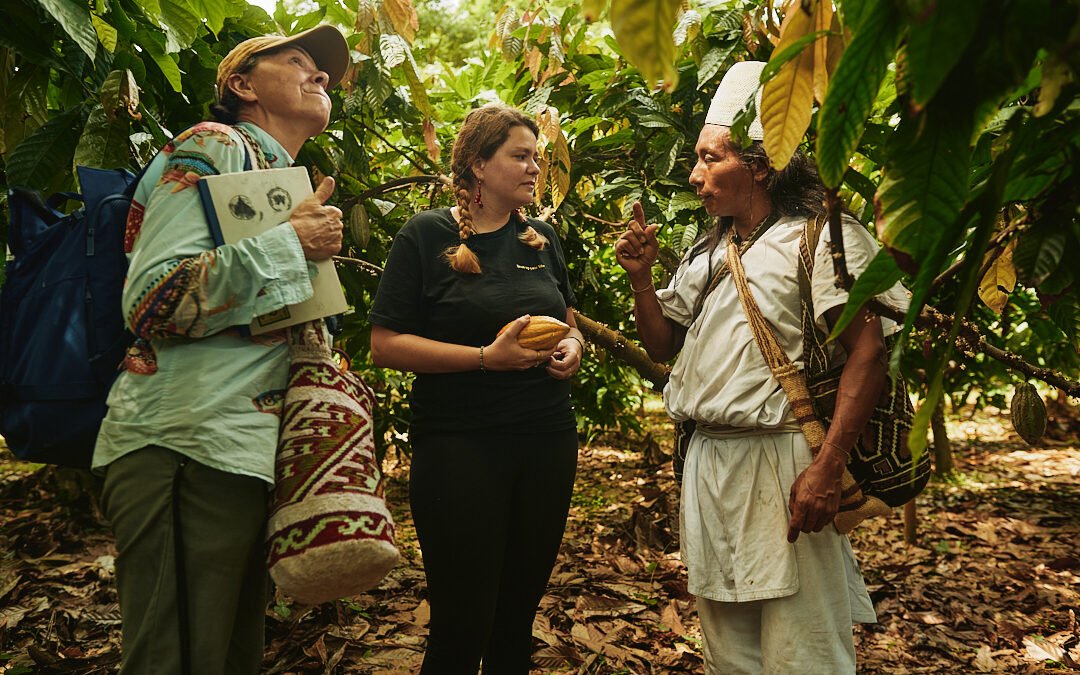 Wie der Kakao als Superfood neu entdeckt wird