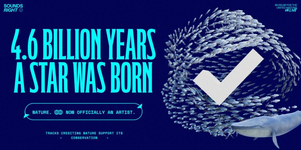 Sounds Right - Nature is now an artist