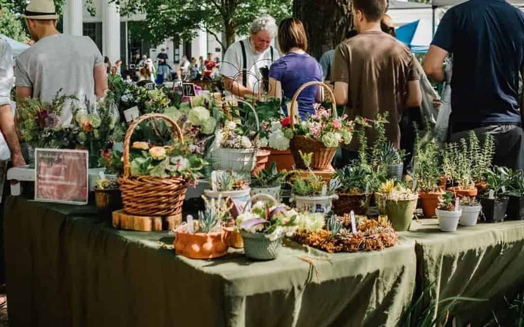 PrimaKlima – Platz für Klimaschutz gibt es überall